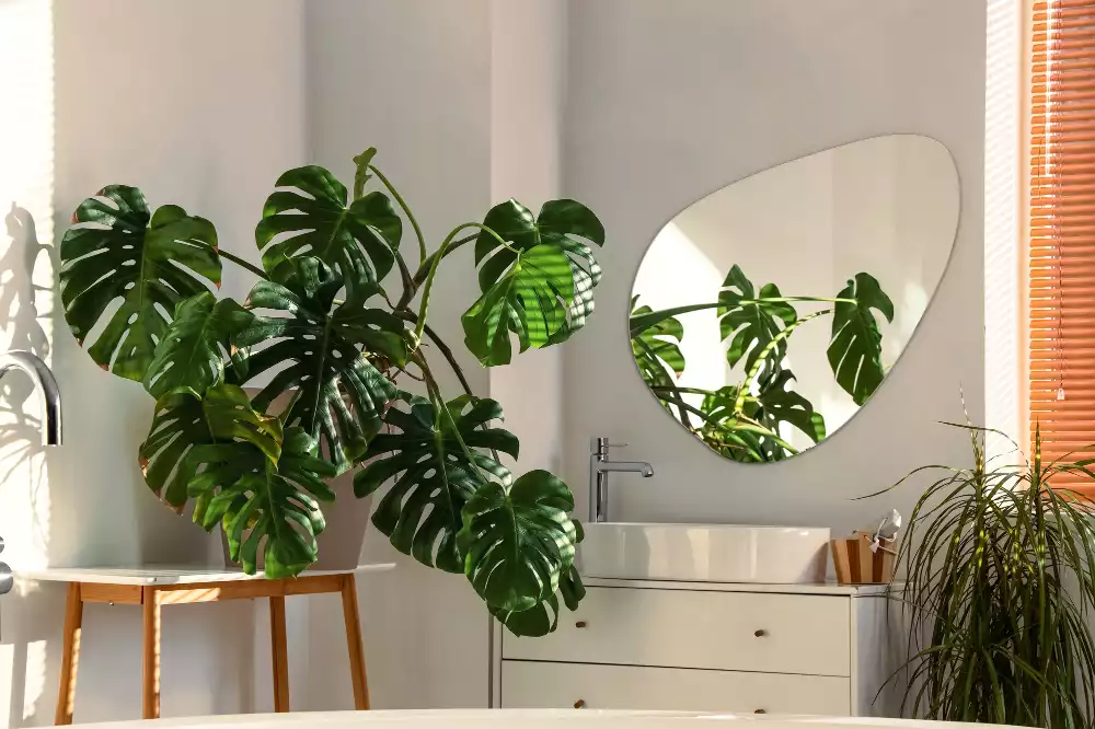 Espejo organico pared decorativa