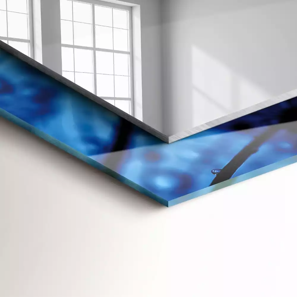 Espejo rectangular estampado Gotas sobre dientes de león